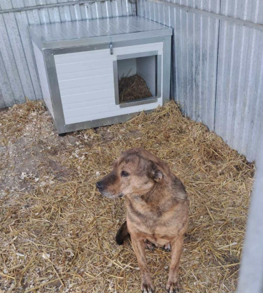 Hundehütten Ibrany Hundehütten Ibrany